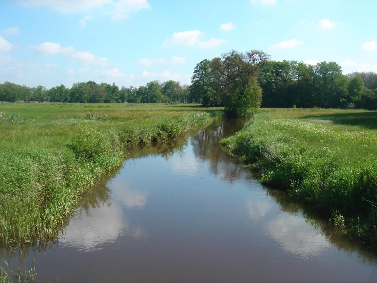 Herberg De Fazant Oudemolen Luaran gambar